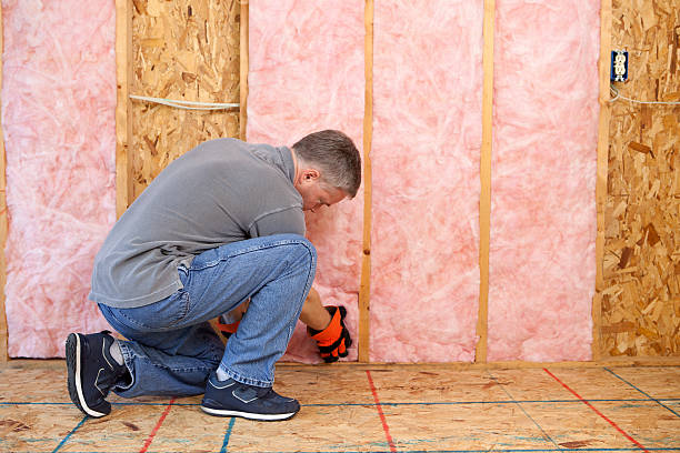 Best Basement Insulation  in Westville, NJ